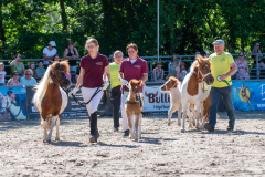 PfingstSonntag2026083
