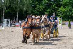 PfingstSonntag2026144